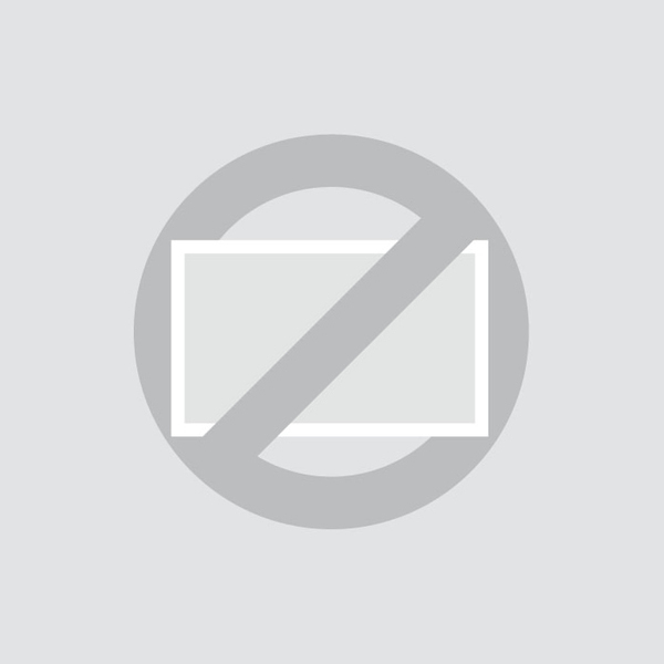 Bruine en Zwarte Labrador pups verwacht (met stamboom)